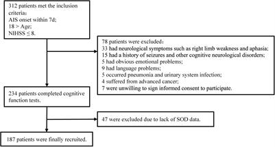 Low Serum Superoxide Dismutase Is Associated With a High Risk of Cognitive Impairment After Mild Acute Ischemic Stroke